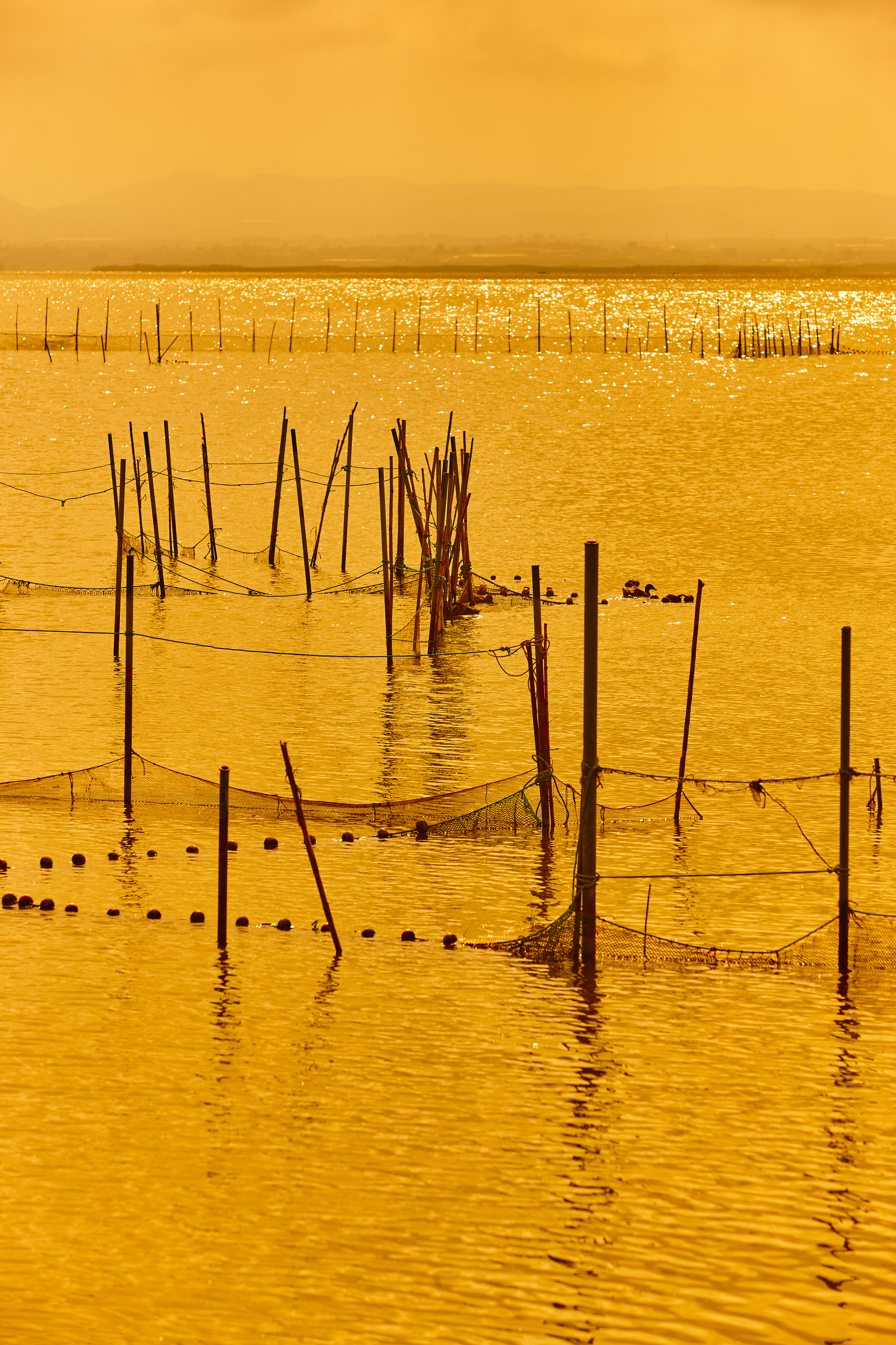 Traditional Stilt Fishermen